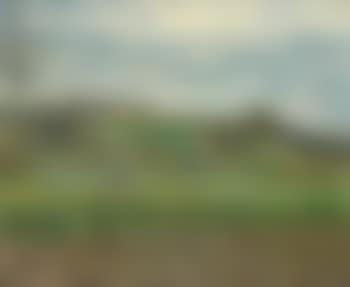 Paysage (preview)