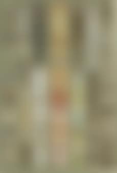 One hundred and fifty-eight medium- and small-sized moths, in seven columns. A wide range of families is represented... (preview)