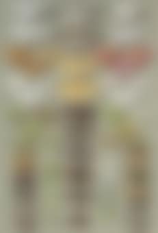 Sixty-three moths, arranged in three or five irregular columns... (preview)