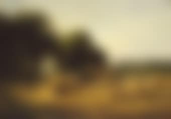 Evening reflection (preview)