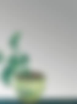 Vaso con Pianta Verde (preview)