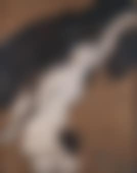 La Fortuna (Rubens como Pretexto) (preview)