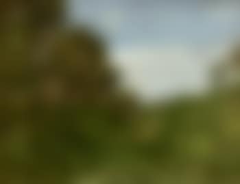 Paysage aux collines (preview)