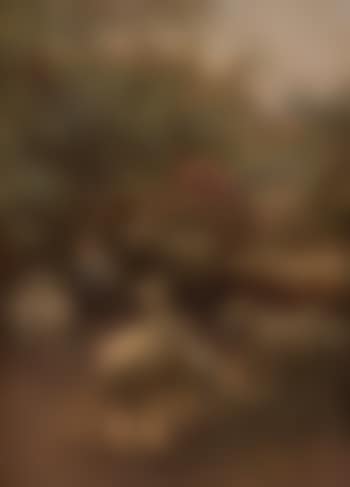 The young shepherdess (preview)