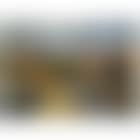 Landscape (preview)