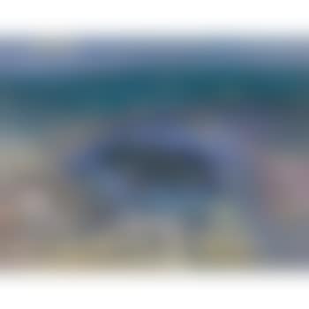 Seascape With Surfboard (preview)