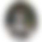 Ragazza Con Uccelli (preview)
