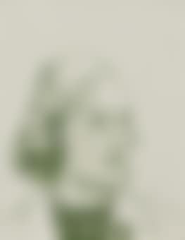 Unity Mitford (preview)