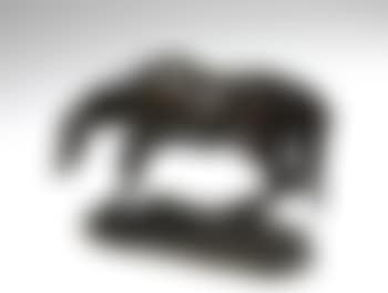 Cheval surpris (preview)