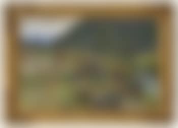 From Røysheim (preview)
