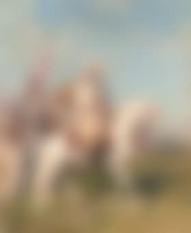 The desert escort (preview)