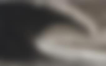 Study of Tunga (preview)