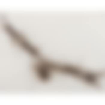 Siwa Series: Man, Eagle And Eye In The Sky (preview)