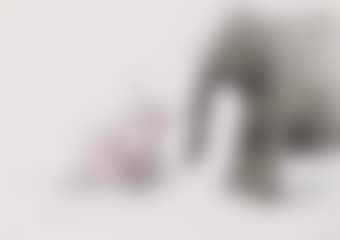Adoration (preview)