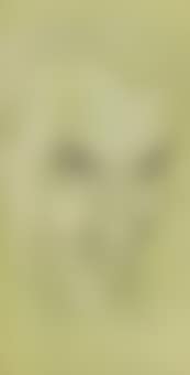 Satyr (preview)
