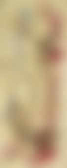 Figure or Personnage animal (preview)