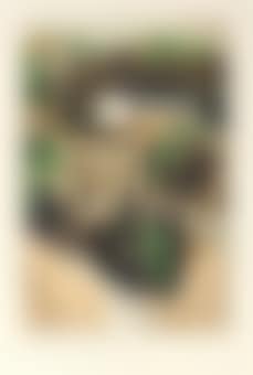 Häuser und Bäume in Sellin (preview)