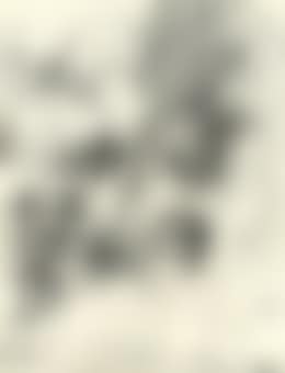 Rapid annotation of a dream on immediate awaking (preview)