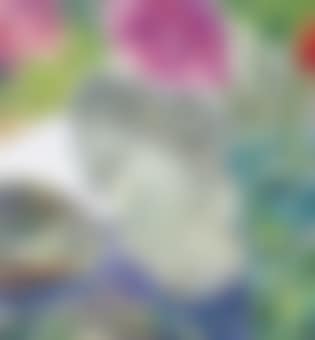 Fragment (preview)