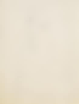 Portrait of Elaine de Kooning (preview)