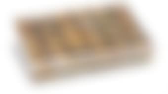 All Saints Day II (preview)