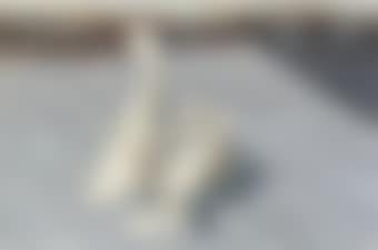 Encounter in the Afternoon (preview)