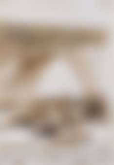 Constable Lampiños stitched into a dead horse (preview)