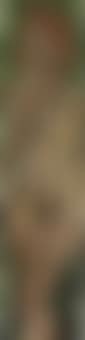 Standing nude (preview)