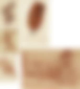 Portrait of Ezra Khedouri; Four studies of female nudes (preview)