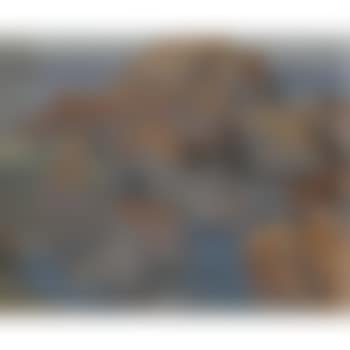 Rocky Coast, Monhegan Island, Maine (preview)