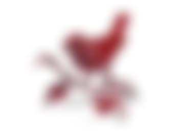 Oiseau (preview)