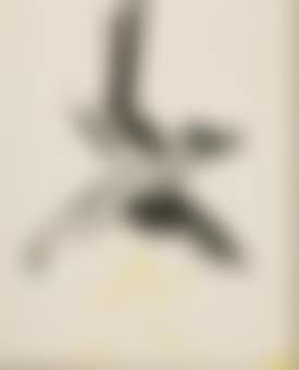 Untitled (Sculpture study) (preview)