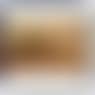 Scenes de campagne orientales (preview)