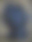 Blue head (preview)
