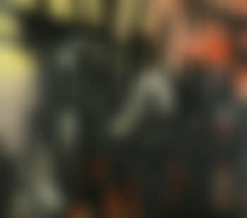 Auf hellem Hintergrund (preview)