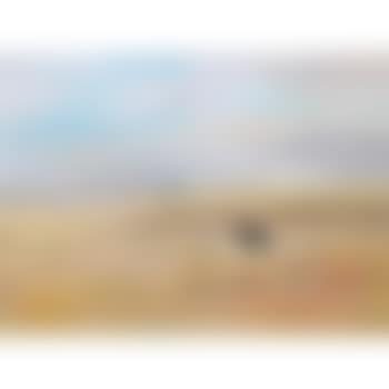 Wimmera Landscape With House (preview)