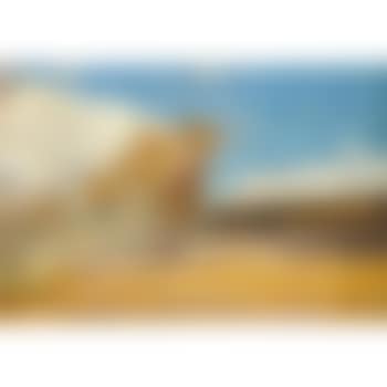 Shearing Shed, Newstead (preview)
