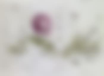 ... sun (preview)