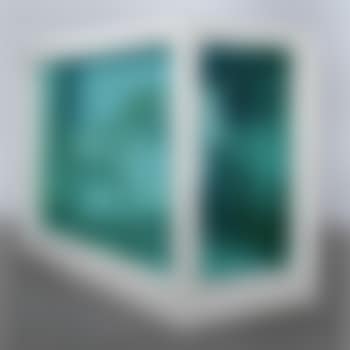The Dream (preview)