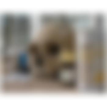 Skull With Pills (preview)