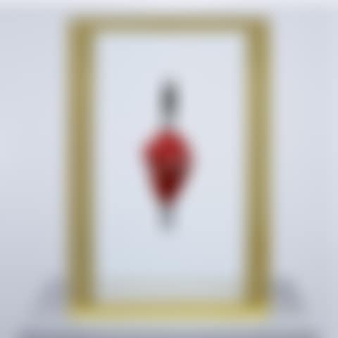 The Immaculate Heart - Lost (preview)
