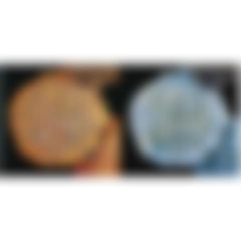 Second Series Biopsy: M122/372, M122/373 (preview)