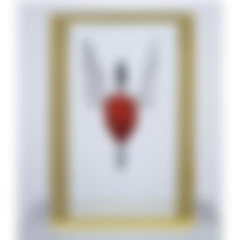 The Immaculate Heart - Blind (preview)