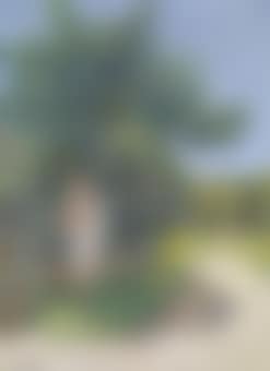 Römische Venus im Park (preview)
