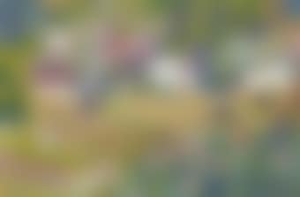 Paesaggio d'estate (Sommerlandschaft) (preview)