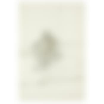 Untitled (Seated Male Nude) (preview)