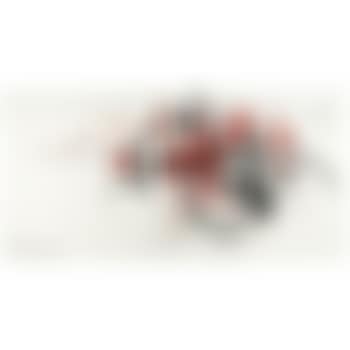 Japanese Battle - White Ground (preview)