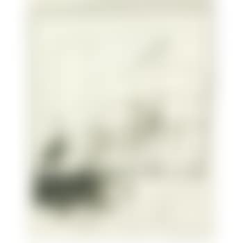 Untitled (Walt) (preview)