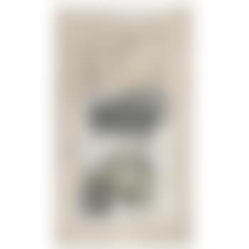 Electric Plug (preview)