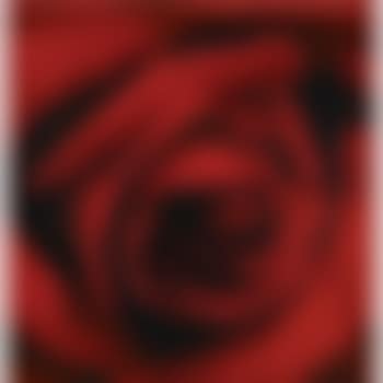Untitled (December) (preview)